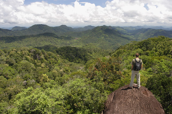 Sinharaja Rainforest