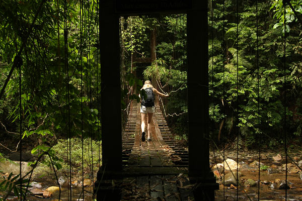 Khao Sok national park