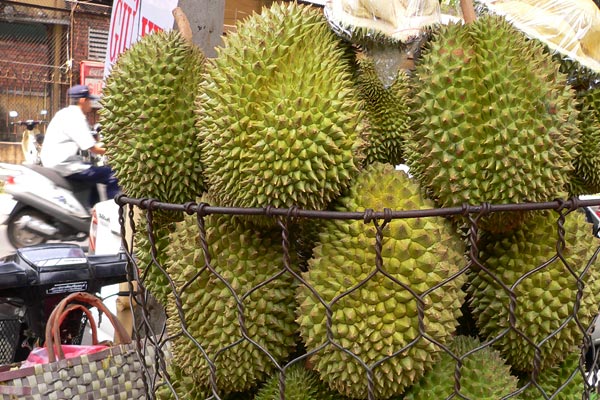 Durian Fruit