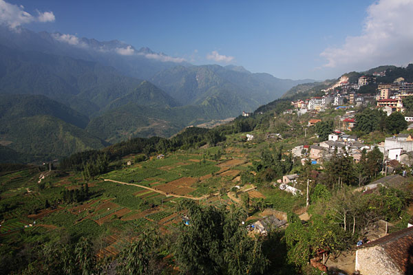 Sapa
