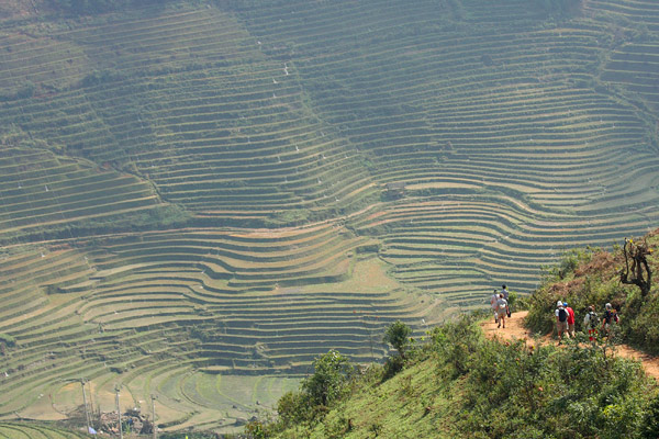 Trekking in Sapa Valley