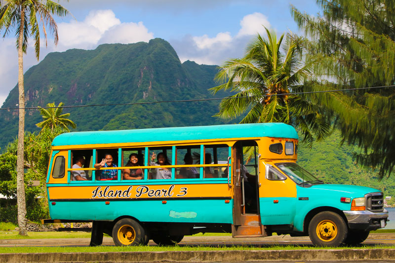 Buses