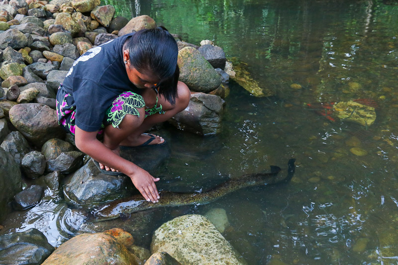 Eel Pools Pilen Seleur