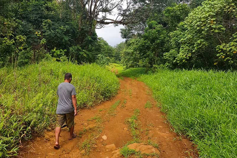 Lehpaipohn Waterfall Hike
