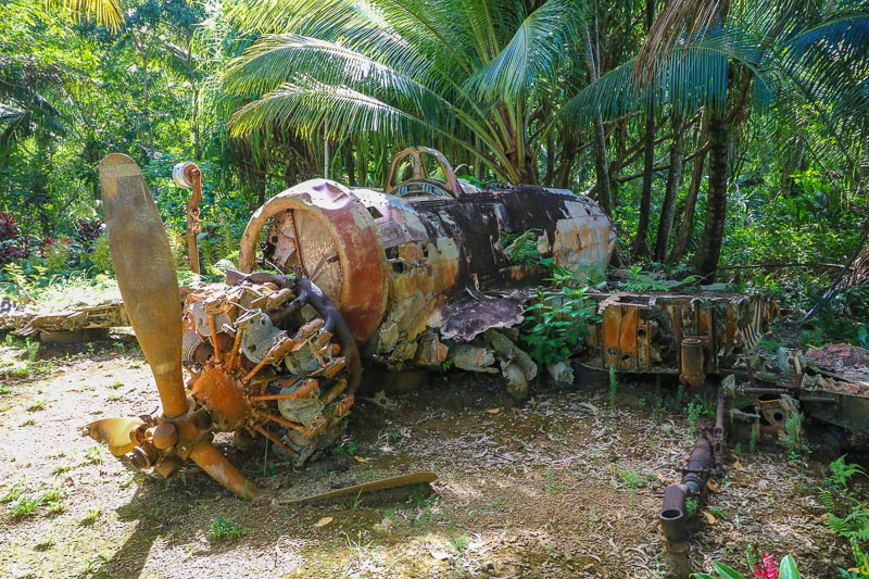 Plane Wreck Japanese 