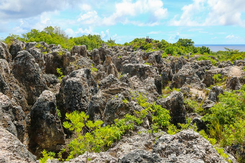 Pinnacles