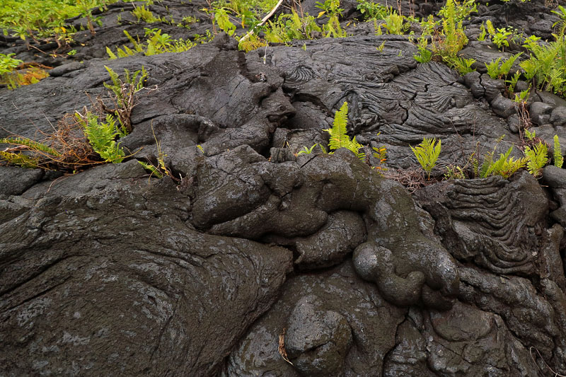 Lava Field