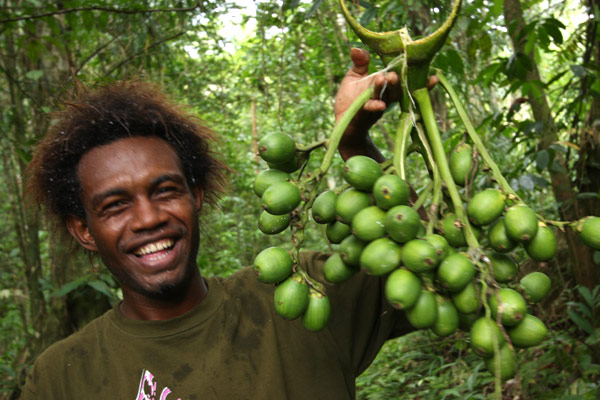 Betel nuts