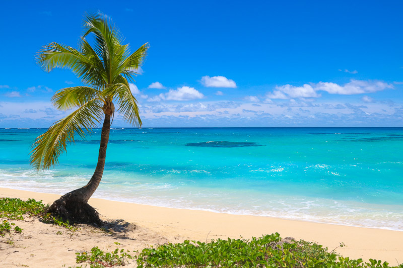 Beaches in Ha'apai