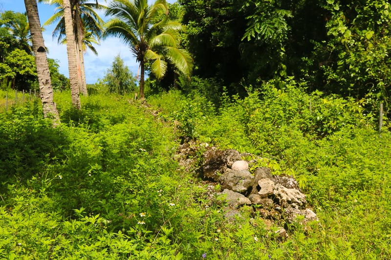 Kilikilitefua Rock Wall