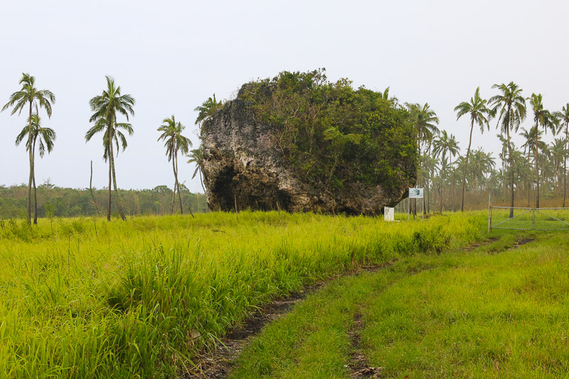 Tsunami Rocks