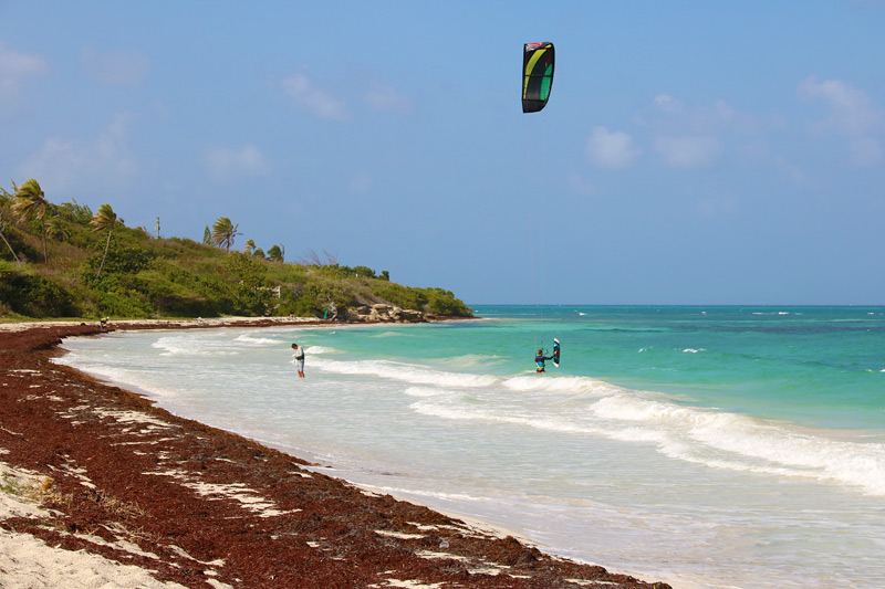 Jabberwock Beach