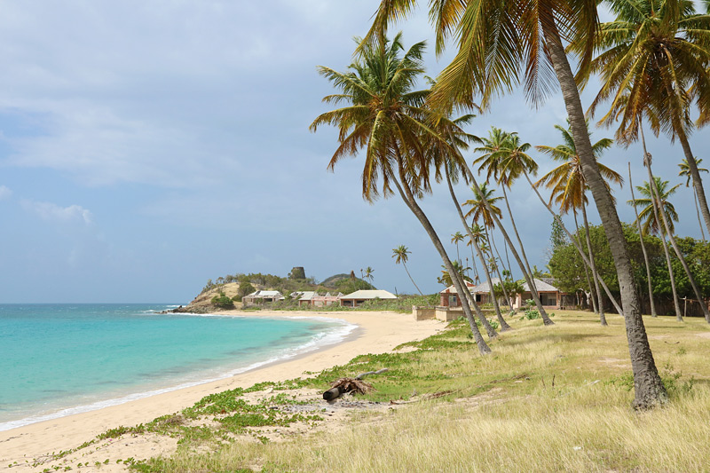 Morris Bay