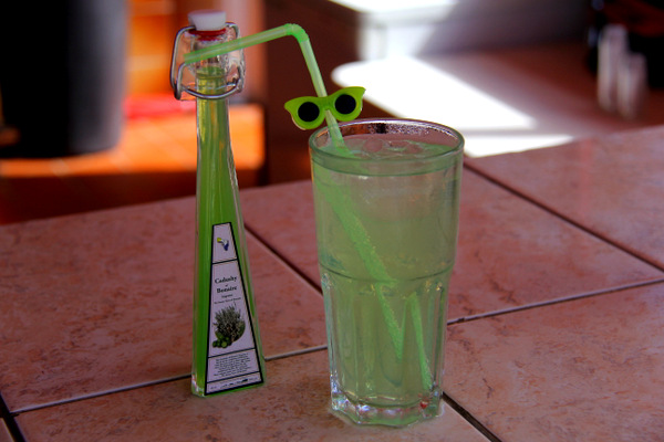 Cactus liqueur