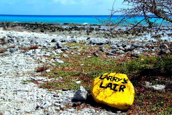 Diving in Bonaire