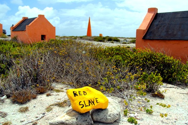 Bonaire Southern loop