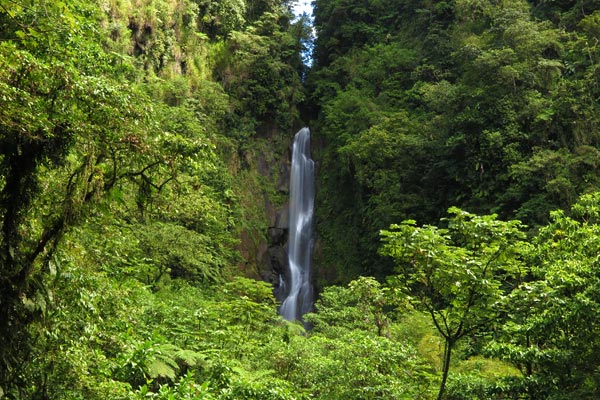 Trafalgar Falls