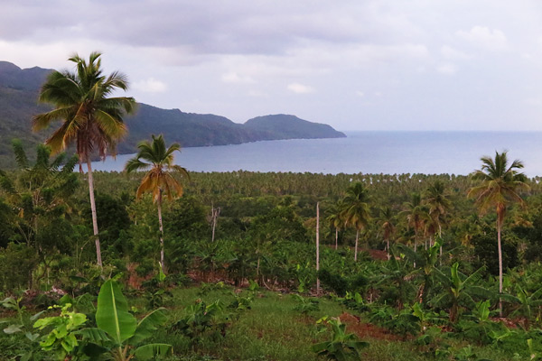 Rincón Beach