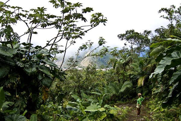 Hiking