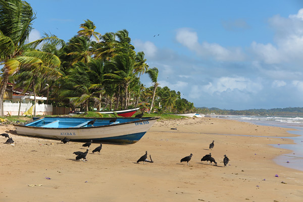 Mayaro Beach