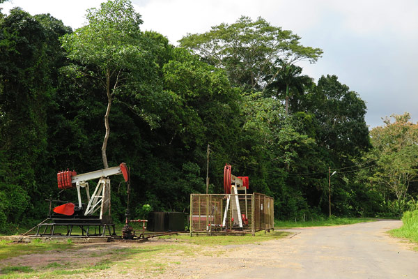 Oil pumps