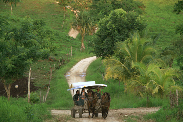 Mennonites