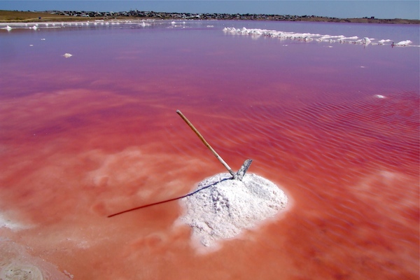 Red Lakes