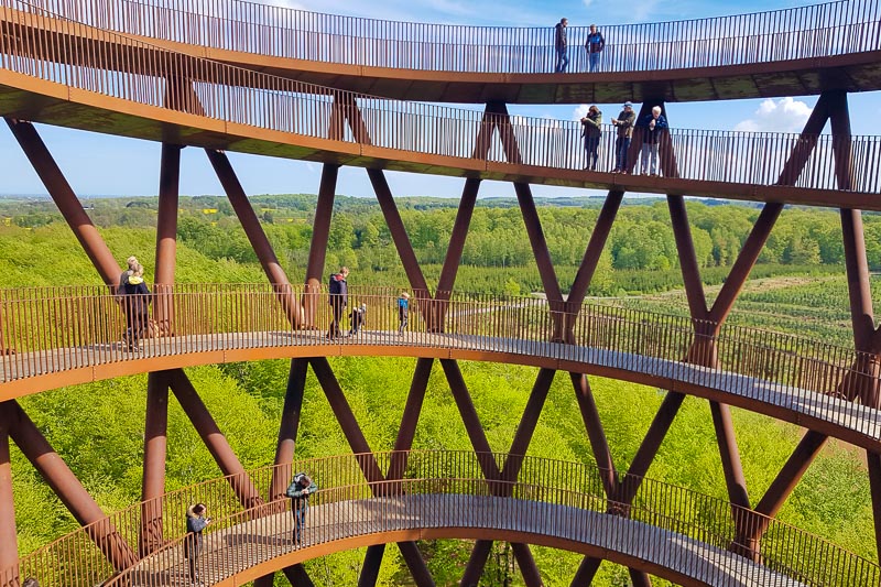 Forest Tower