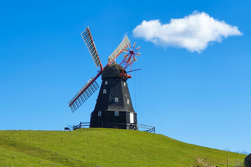 Skovsgaard Mill