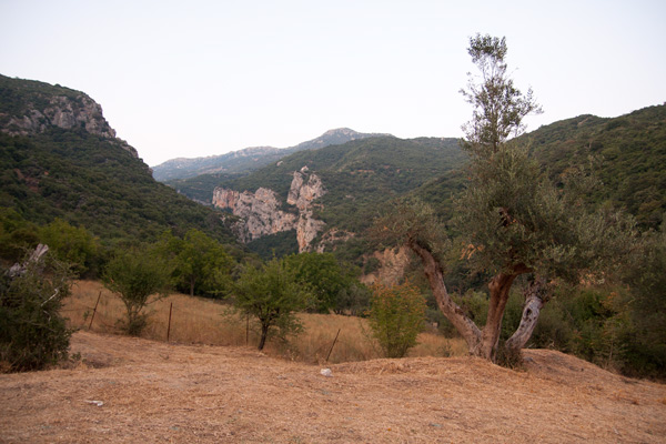 Lousios Gorge trekking 