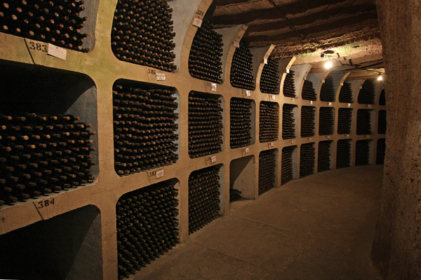 Winery tour