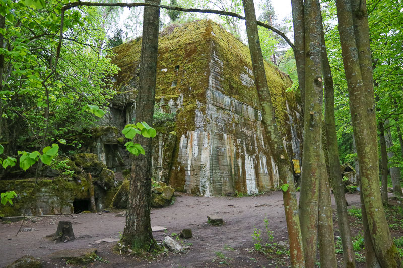 Wolf's Lair