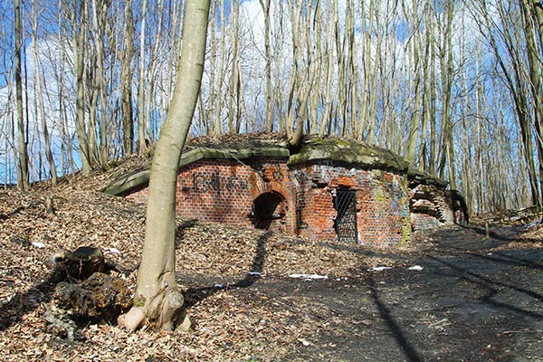Fort No. 5