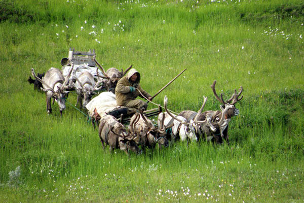 Nenets Autonomous Okrug