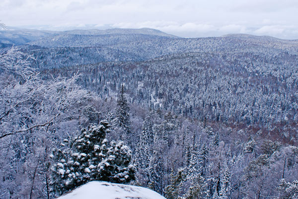 Stolby National Park