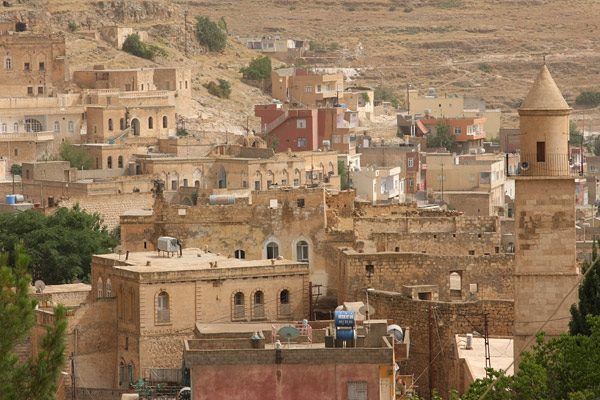Savur village