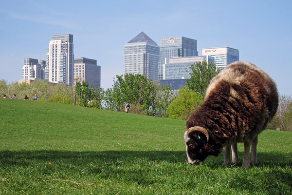City Farm