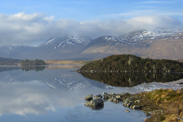 Scottish Highland
