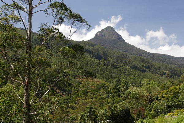 Adam's Peak