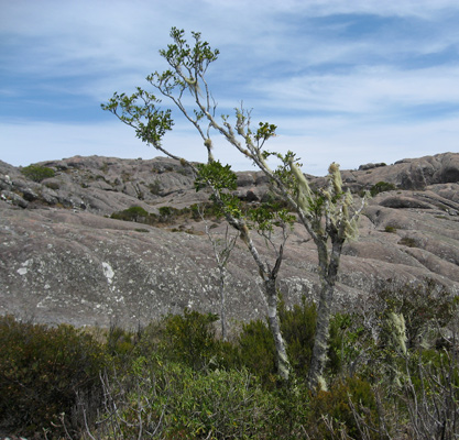 Andringitra