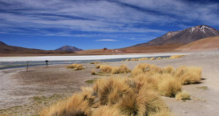 Laguna Hedionda
