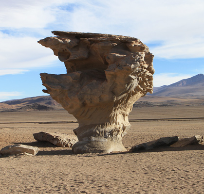 Arbol de Piedra (Stone Tree)