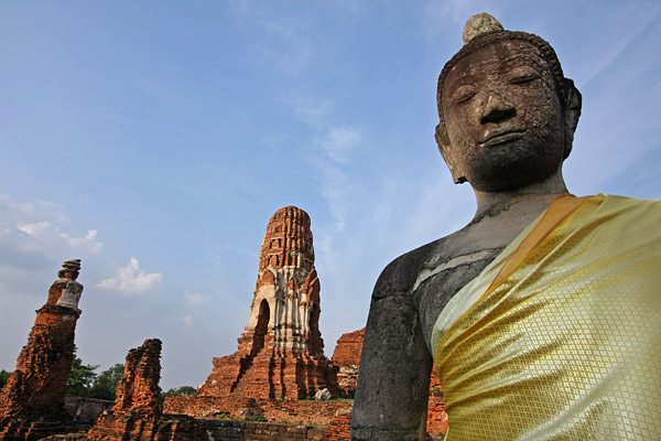 buddhahead in tree in Ayuthaya