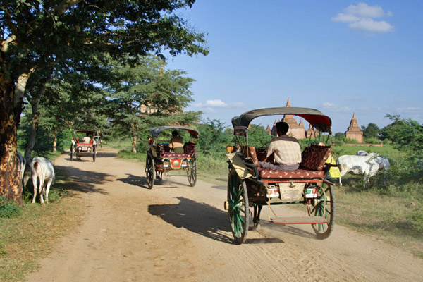 bagan