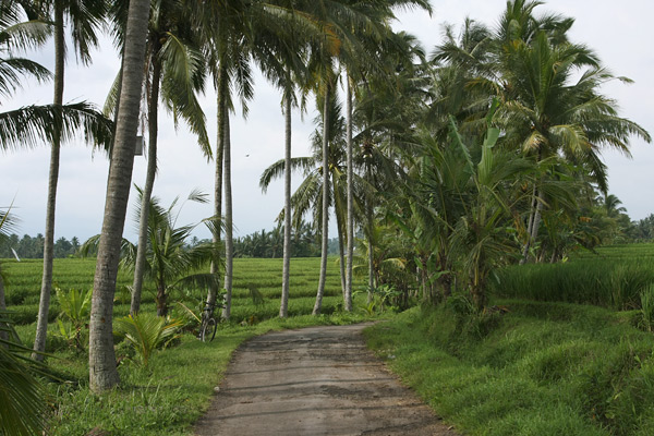 Indonesia