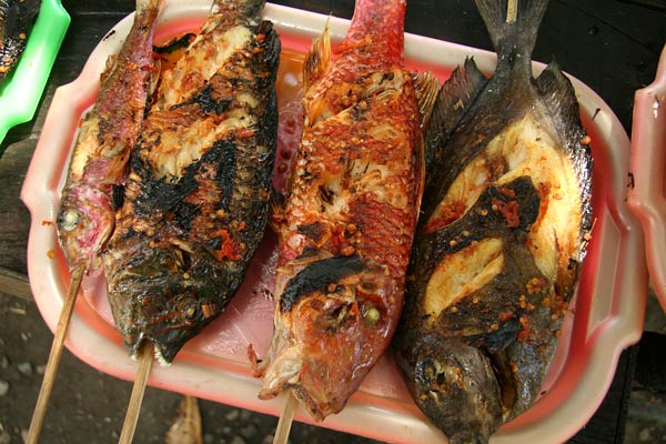 Grilled fish