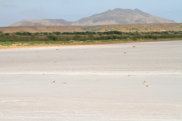 Boa Vista
