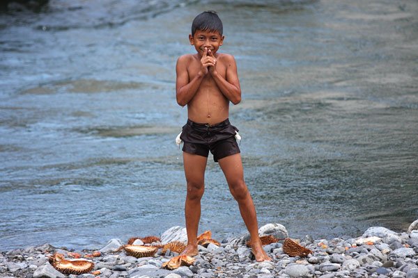 Bukit Lawang