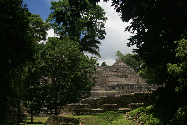 hidden in the jungle