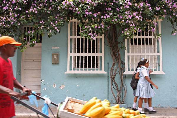 Getsemani